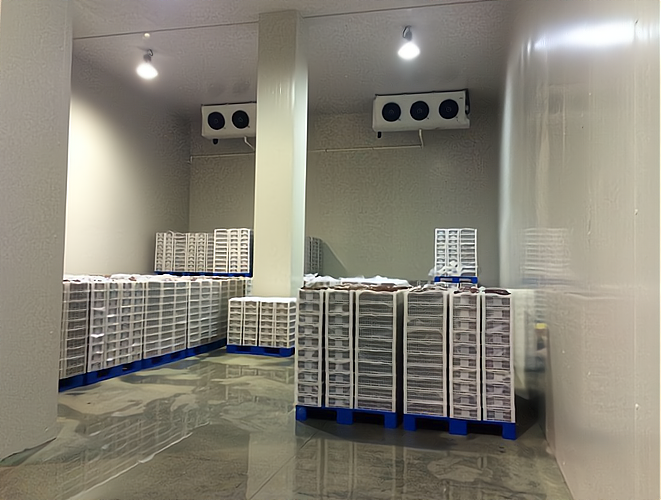 開一個雪糕批發(fā)冷庫 專業(yè)指導(dǎo)，創(chuàng)業(yè)無憂！預(yù)包裝食品批發(fā)策略